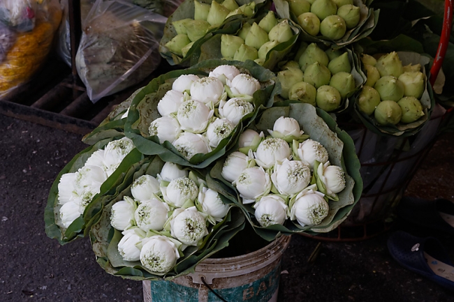 Pak khlong talat-024